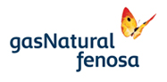 fenosa
